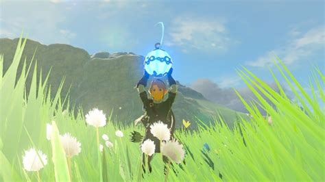 breath of the wild bomb